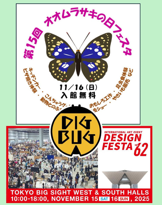 DIGBUG 11月イベント情報公開❕❕