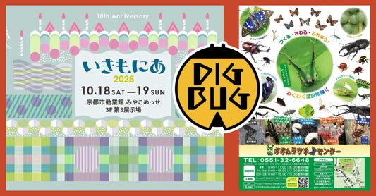 DIGBUG 9月,10月イベント情報公開❕❕