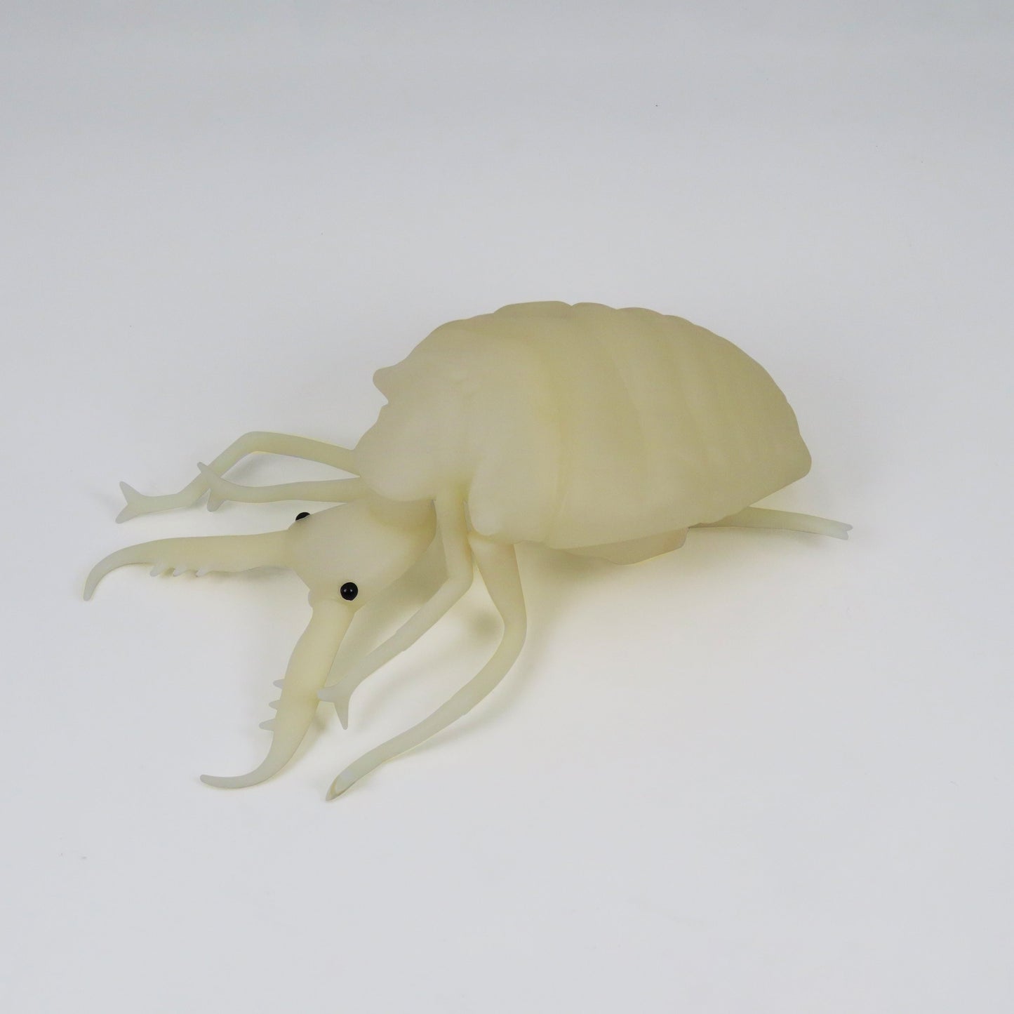 DIGBUG アリジゴク【蓄光】