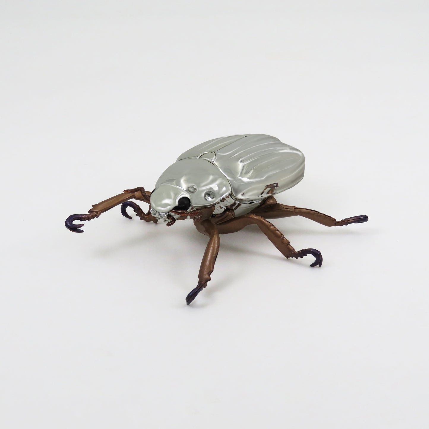 プラチナコガネ(リンバータプラチナコガネ)