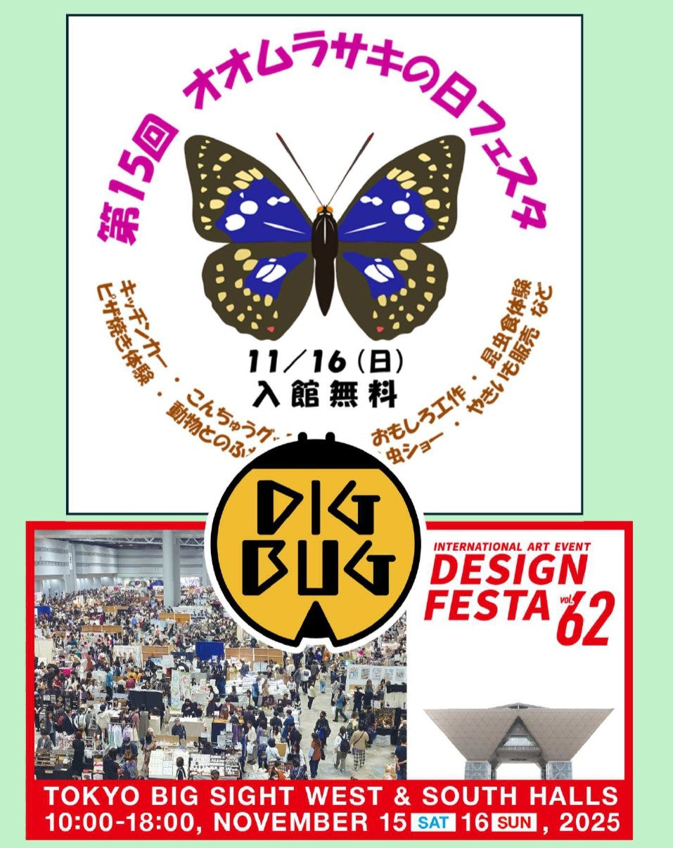 DIGBUG 11月イベント情報公開❕❕