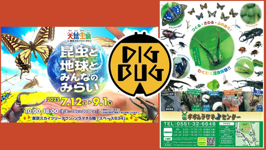 DIGBUG 8月イベント情報公開❕❕