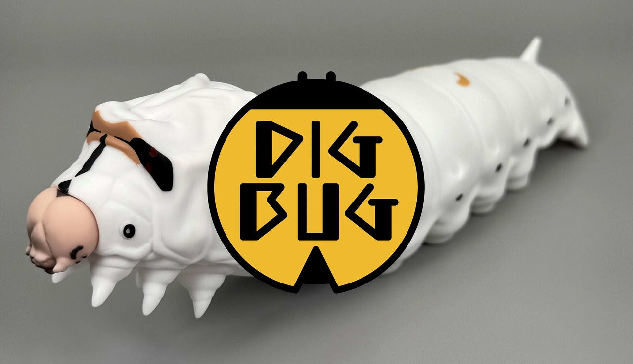 DIGBUG新商品完成ニュース❕❕