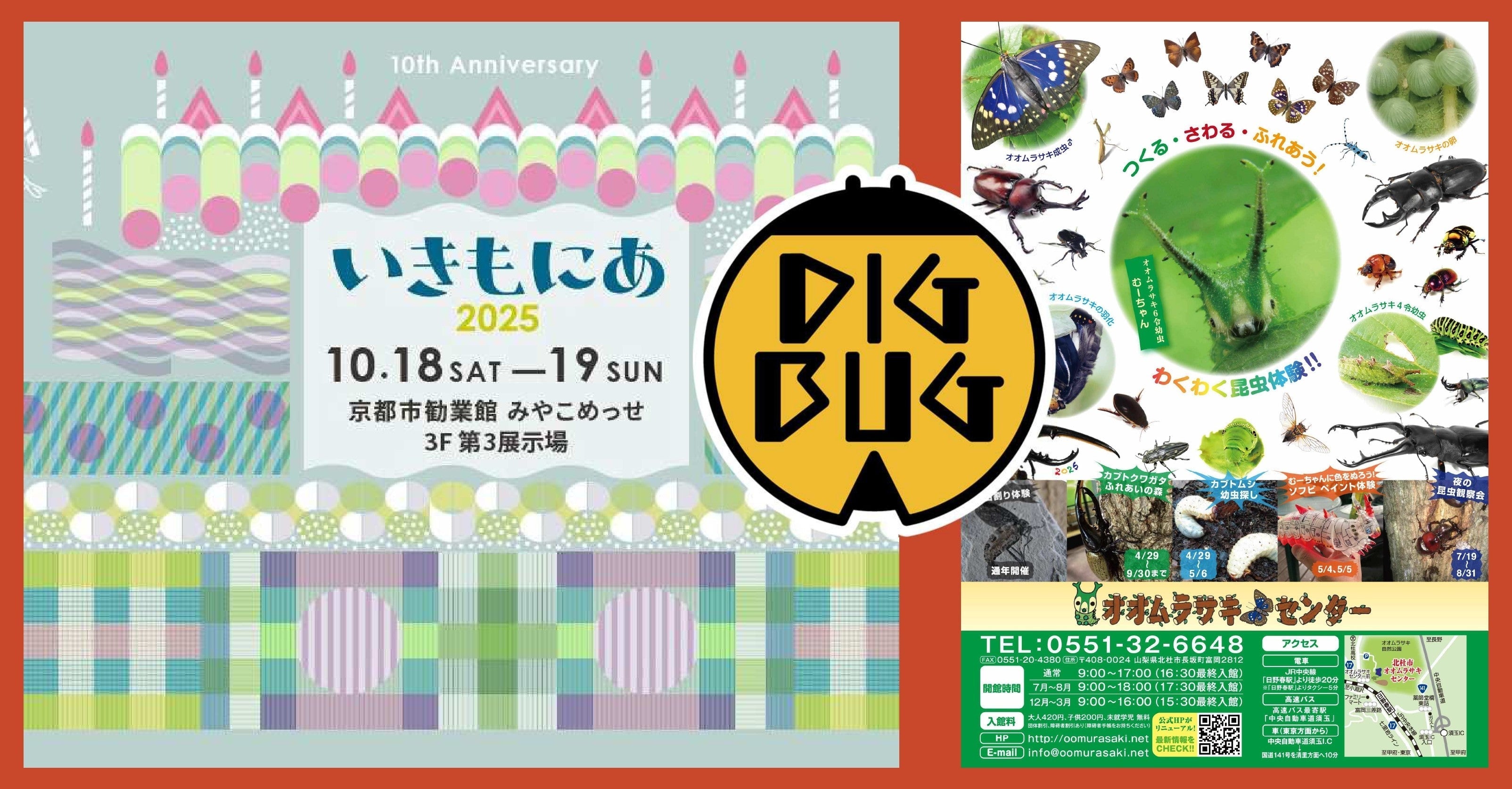 DIGBUG 9月,10月イベント情報公開❕❕