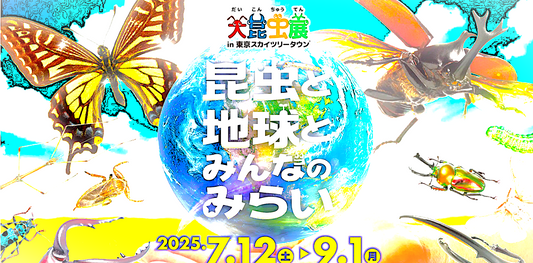 DIGBUG　イベントの振り返り!! IN大昆虫展