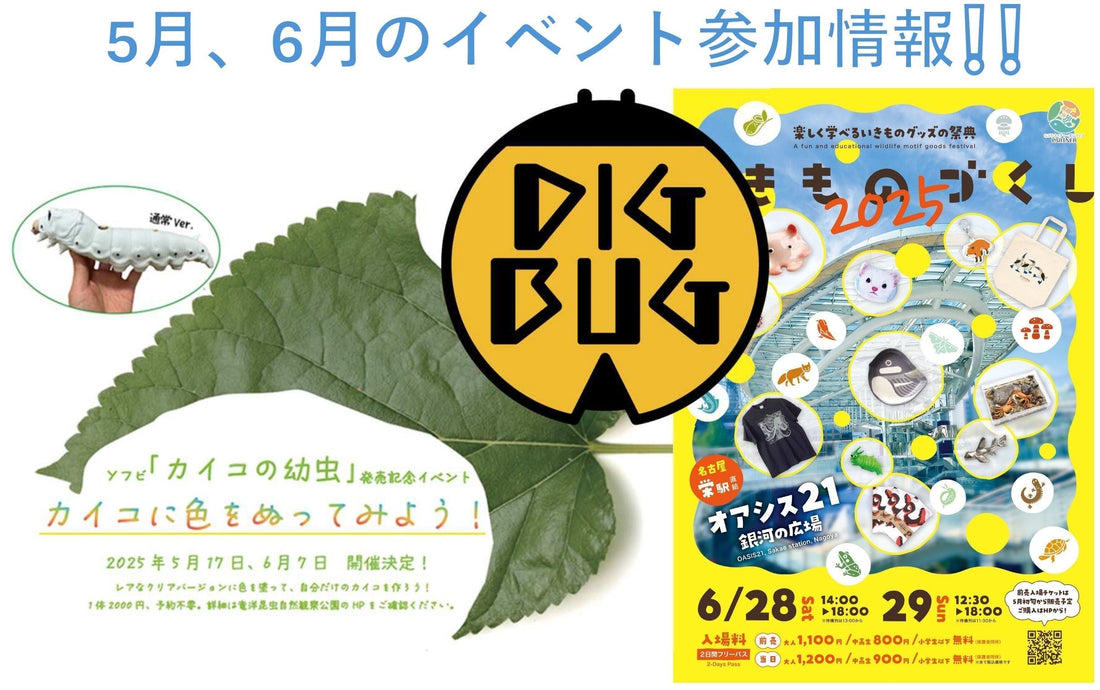 DIGBUG 5月、6月イベント情報公開❕❕■「カイコに色をぬってみよう！」■「いきものづくし2025」