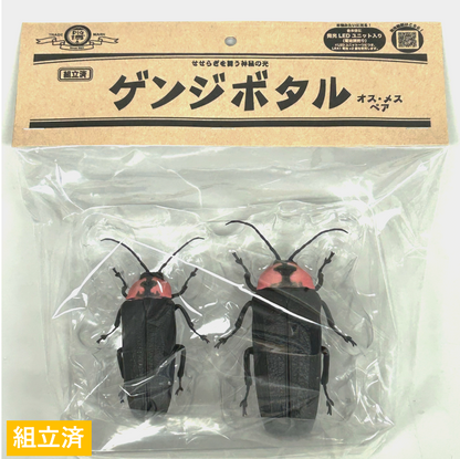 【組立済完成品】DIG博 ゲンジボタル(メス・オスペア)